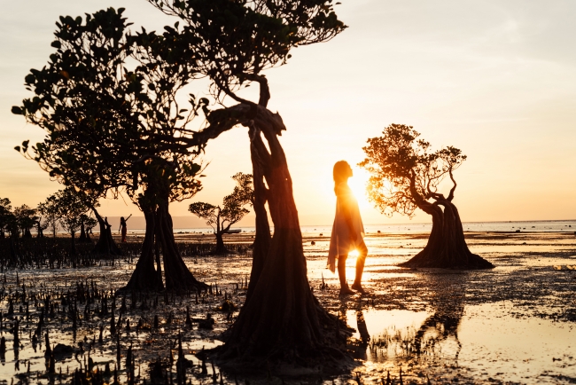 beautiful sunset in walakiri beach